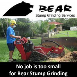 Bear Stump Grinding Services