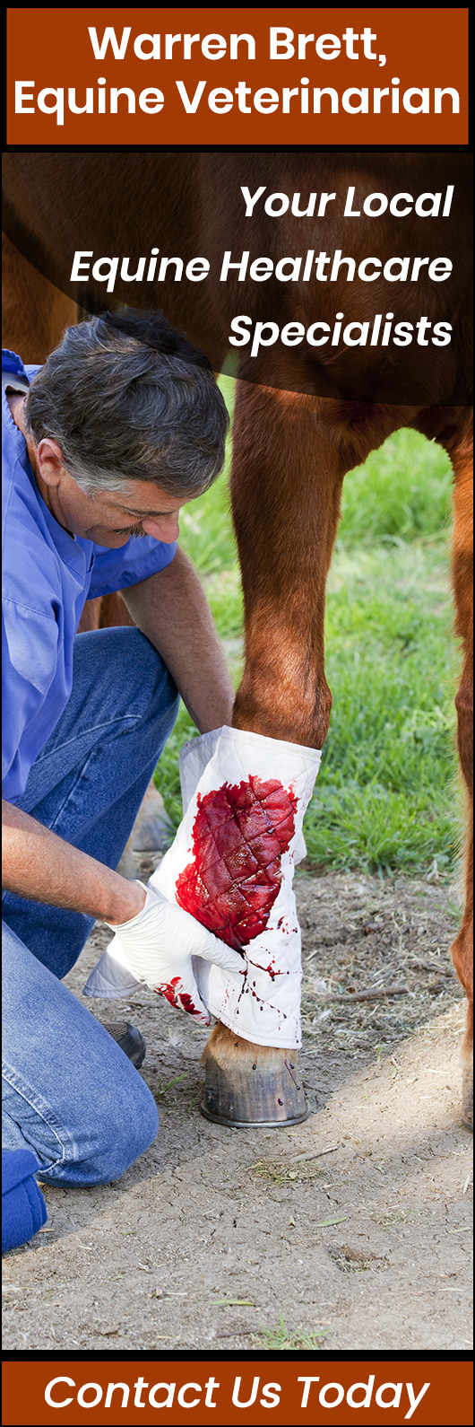 Warren Brett Equine Veterinarian