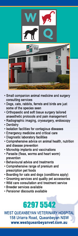 West Queanbeyan Veterinary Hospital