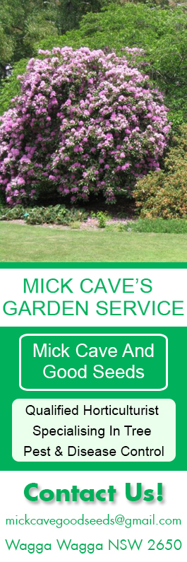 Mick Cave & Good Seeds Garden Service