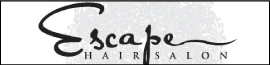 The Hair'EM logo