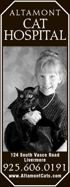 Altamont Cat Hospital