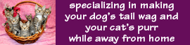 Animal Friends Pet Hotel logo