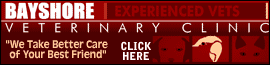 Bayshore Veterinary Clinic logo