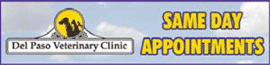 Del Paso Veterinary Clinic logo