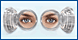 Divine Family Eye Care logo