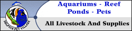 Dolphin Pet Village logo