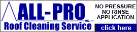 Easy Car Rental logo