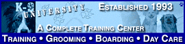 K - 9 University logo