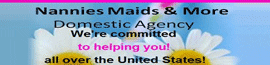 Nannies Maids & More Domestic Agency logo
