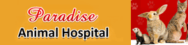 Paradise Animal Hospital logo