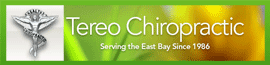 Tereo Michael DC logo