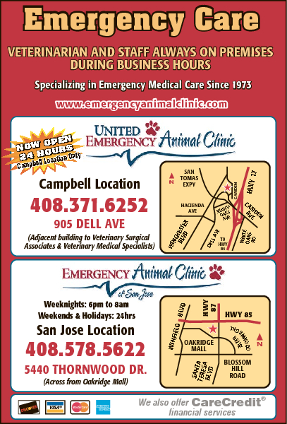 United Emergency Animal Hospital