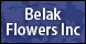 Belak Flowers Inc - Irwin, PA