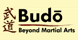 Budo - Beyond Martial Arts - Minneapolis, MN
