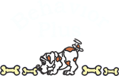 Behavior Plus - River Edge, NJ