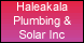 Haleakala Solar Inc - Puunene, HI