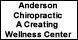 Anderson Chiropractic Clinic: Anderson Corey DC - Hastings, NE