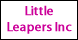 Little Leapers Inc - Hudson, OH