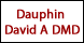 Dauphin David A DMD - Dothan, AL