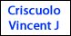 Criscuolo, Vincent J Vincent J Criscuolo & Assoc - Rochester, NY