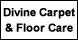 Divine Carpet & Floor Care - Bolivar, MO