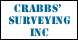 Crabbs' Surveying Inc - Painesville, OH