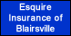 Esquire Insurance Of Blairsville - Blairsville, GA