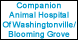 Companion Animal Hospital Of Washingtonville/Blooming Grove - Washingtonville, NY