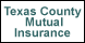 Texas County Mutual Insurance - Licking, MO