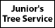 Junior's Tree SVC - Thomasville, NC