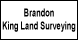 Brandon King Land Surveying - Eau Galle, WI