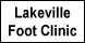 Lakeville Foot Clinic - Lakeville, MN