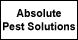 Absolute Pest Solutions - Richland, MO