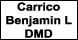 Carrico Benjamin L DMD - Strattanville, PA