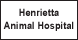 Henrietta Animal Hospital - Henrietta, NY