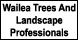 Wailea Trees And Landscape Professionals Inc - Wailea, HI