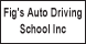 Fig's Auto Driving School - Washingtonville, NY