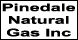 Pinedale Natural Gas Inc - Pinedale, WY