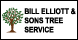 Bill Elliott & Son's Tree Services - Adams Center, NY