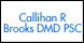 Callihan R Brooks Dds - Greenup, KY