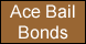 Ace Bail Bonds - Nederland, TX