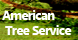 American Tree Service - Inkster, MI