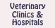 Churchman Animal Hospital - Indianapolis, IN