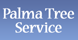 Palma Tree Servicce - Vista, CA