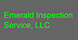 Emerald Inspection Service LLC - Land O Lakes, FL