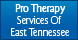 Pro Therapy Services Of East Tennessee - Sevierville, TN