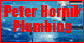 Peter Hornik Plumbing & Heating Services LLC - Danbury, CT