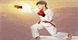 Atlanta Kyokushin Karate - Alpharetta, GA