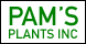 Pam's Plants Inc - Longwood, FL